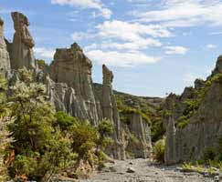 New Zealand Package Tour
