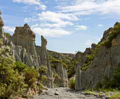 New Zealand Tourism Package