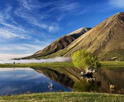 New Zealand Vacation Package