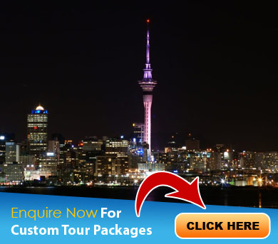 New Zealand Tour Packages