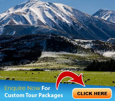 New Zealand Tour Packages